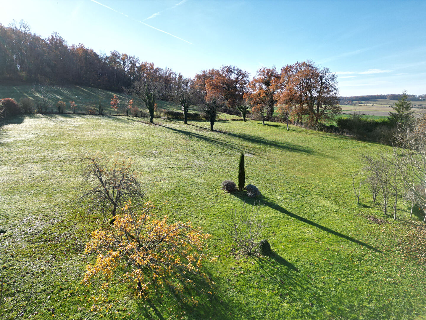 Image for the content block